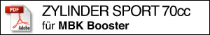 Download Leistungskurve  Zylinder Sport 70cc